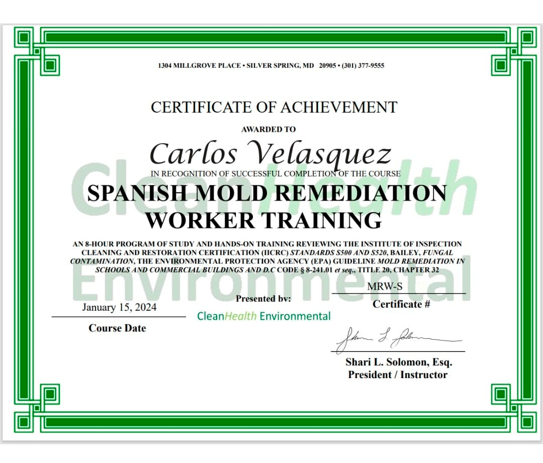 Illustration of the Enchanted Forest