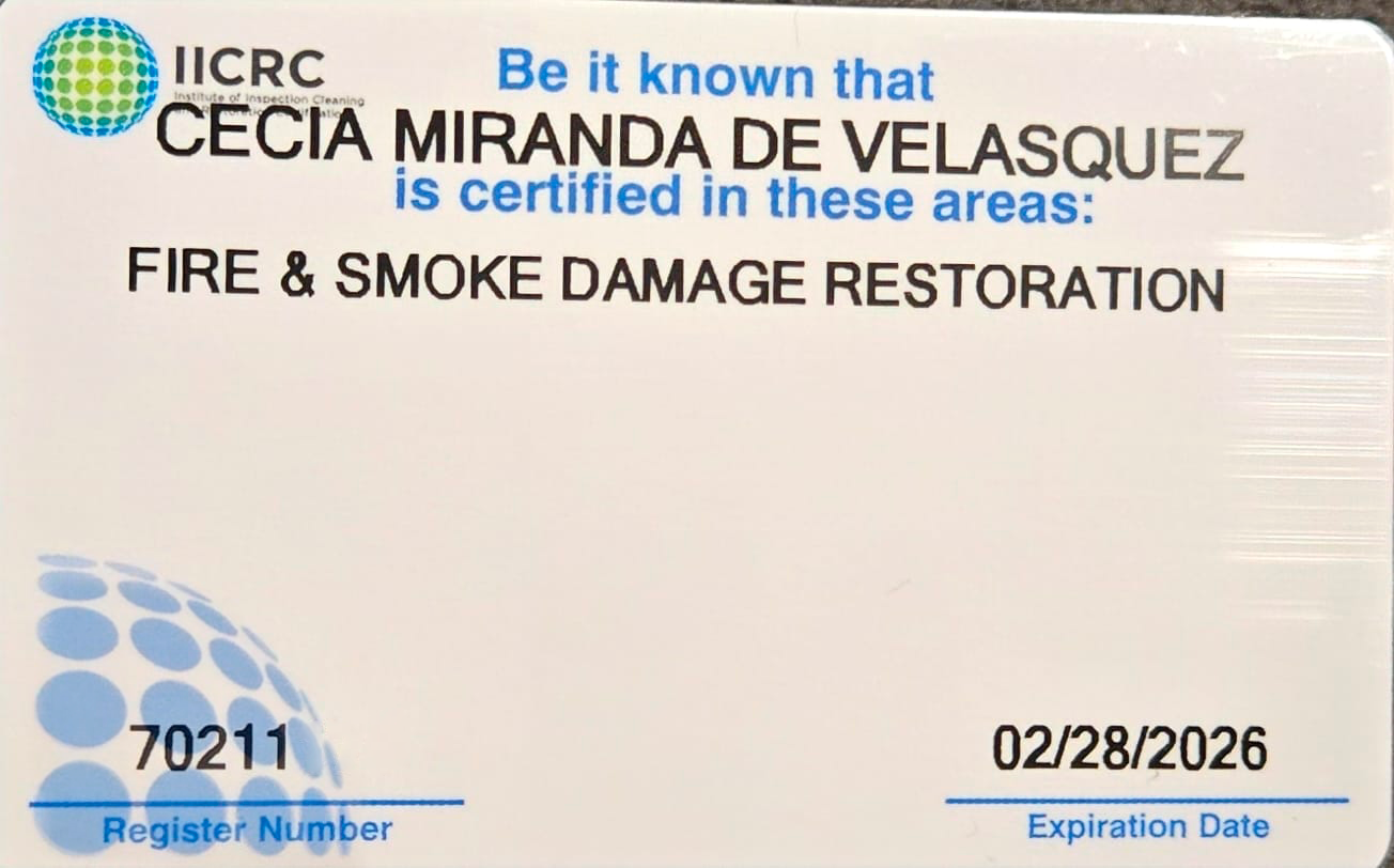 Illustration of the Enchanted Forest