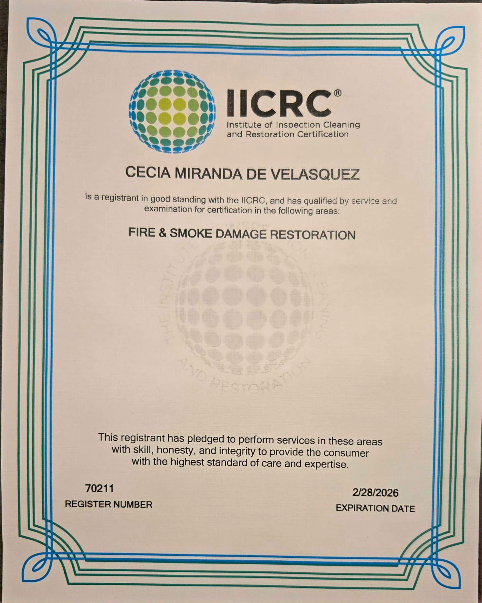 Illustration of the Enchanted Forest