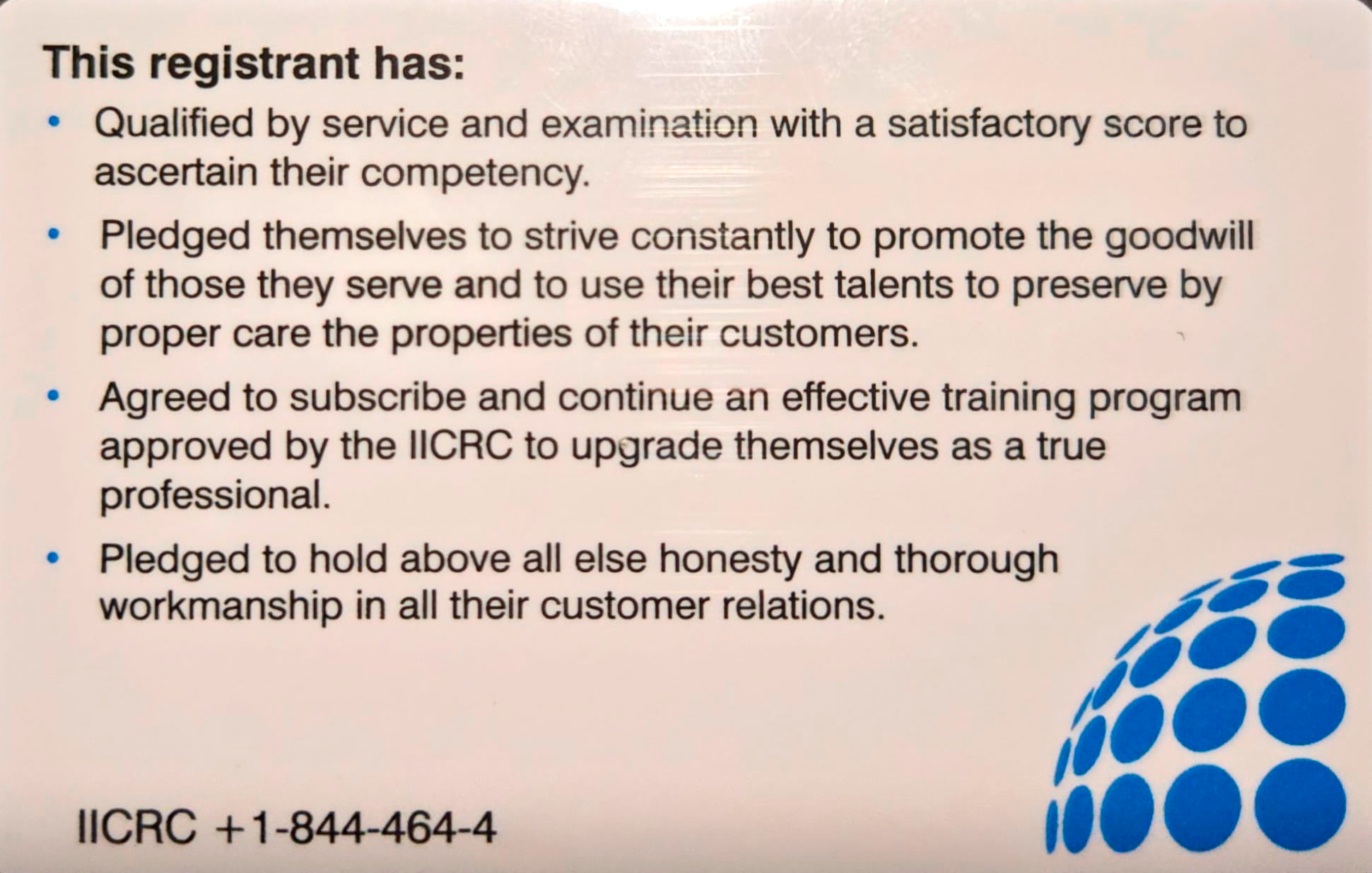 Illustration of the Enchanted Forest