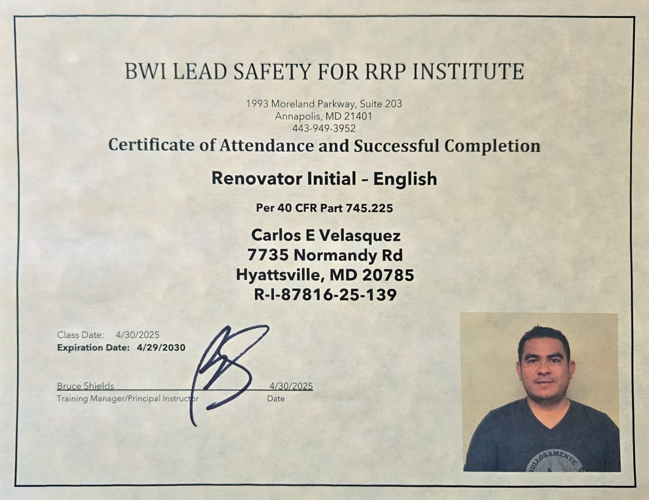 Illustration of the Enchanted Forest